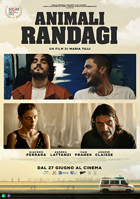 Animali randagi di Maria Tilli