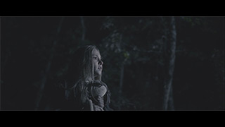 Coscine di pollo di Federico Paolini