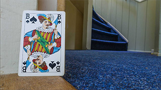 How now, house? di Tess martin