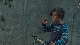 Land of the dead deer di Anahita Qarcheh, Soroush Javadzadeh