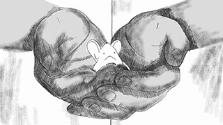 Mijndert