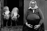 Maria e i suoi maiali - Sandra Zagolin