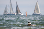 Solitudine in mare - Paola Cocconi