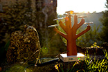 Outdoor power - Veronica Morresi