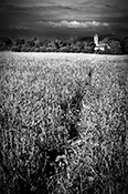 In cammino - Emiliano Pace