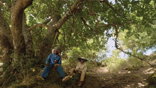 Ape Regina di Nicola Sorcinelli