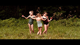 Forest of Echoes di Luz Olivares Capelle