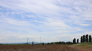 Il Tamaringo di Stefano Valentini, Alessio Pagliaro