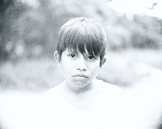 Las memorias perdidas de los árboles di Antonio La Camera