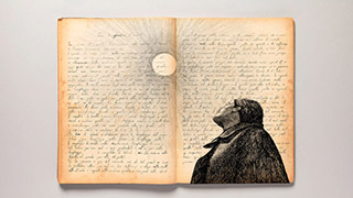 Né una né due di Lucia Catalini