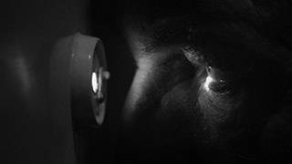 Rudi di Nadiia Khatymlianska