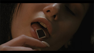 S[QUARE]D di Helena Gudkova