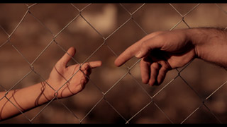 Are you volleyball?!