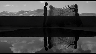 Reflections